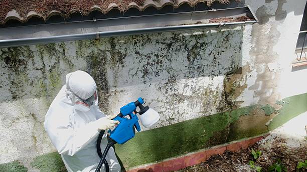 Trusted Mold Inspection service in Old Bridge, NJ - Cheap Mold Removal